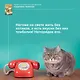 Кошичкин тилипон. Правдиви истори о котиках и их никчемни. Экспресс-помощь для тех, кто застрял в рутине и ищет вдохновение - фото 14
