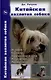 Китайская хохлатая собака. История. Стандарт. Содержание и уход. - фото 1