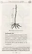 Как обустроить сад и зарабатывать на нем - фото 5