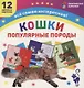 Кошки. Популярные породы. 12 цветных карточек. Всё самое интересное! Набор для занятий с детьми - фото 1