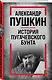История Пугачевского бунта - фото 3