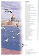 Saint Petersburg and its environs 300 years of glorious his - фото 2