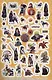 Naruto Shippuden. Супермного наклеек (Синяя) - фото 4