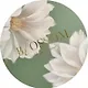 Тетрадь общая «Blossom. Лотос», 48 листов в клетку, А5 - Be Smart - фото 4