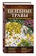 Целебные травы. Карманный справочник-определитель - фото 3