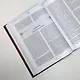 Тайная доктрина. Коллекционная книга - фото 5