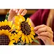 11502 Конструктор LEGO Botanicals Букет Подсолнухов, 686 деталей, возраст 18+ - фото 10