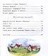 Волшебник Изумрудного города - фото 4