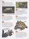 Удивительные животные. 250 фактов. Энциклопедия российского школьника - фото 3