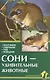 Аквар.Сони-удивительные животные - фото 1