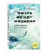 Жизнь между жизнями - фото 3