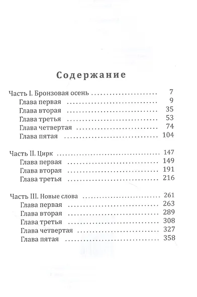 Астра - фото 2