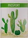 Обложка для паспорта Кактусы (кожа) (ПВХ бокс)  (ОК2017-11) - фото 1