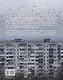Новые территории - фото 2