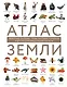 Атлас Земли. Животные, растения, грибы, бактерии, минералы и другие сокровища нашей планеты - фото 1