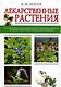 Лекарственные растения - фото 1