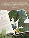 Секреты комнатных джунглей. О чем молчат растения и как понять, что им нужно на самом деле - фото 5