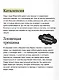 Падение дома Ашеров. Вечные истории - фото 7