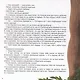 Король Дроздобород - фото 3