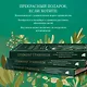 Гримуар травницы. Иллюстрированный справочник по сбору, заготовкам и полезным свойствам дикорастущих растений - фото 7