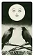 Таро мини «Ворон смерти» / Mini Tarot «Murder of Crows» (78 карт+инструкция) - фото 3