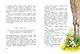 Большая книга сказок - фото 5