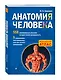 Анатомия человека со страницами для раскрашивания - фото 3