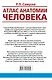 Атлас анатомии человека. Учебное пособие для студентов высших медицинских учебных заведений - фото 2