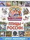 Птицы России. Детская энциклопедия - фото 1