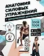 Анатомия силовых упражнений с дополненной реальностью - фото 1