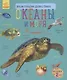 Океаны и моря - фото 1
