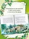 Записки из Зелёного Бора. Время прощаний - фото 4