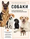Собаки. Иллюстрированный гид по самым популярным породам - фото 1