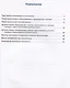 Тренажер по русскому языку. Пунктуация.  5 класс - фото 2