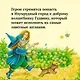 Комплект "Волшебник Изумрудного города. Все приключения в 6 книгах" - фото 8