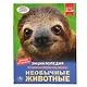 Необычные животные - фото 1