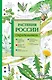 Растения России. Определитель - фото 1