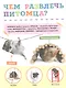 Домашние питомцы - фото 4