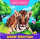 КНИЖКА-ГАРМОШКА. ДИКИЕ ЖИВОТНЫЕ - фото 1
