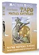 Таро милых котиков. Магия мягких лапок. Уютные предсказания на каждый день - фото 3