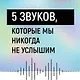 Шум. История человечества. Необыкновенное акустическое путешествие сквозь время и пространство - фото 3