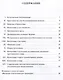 Введение в богословскую традицию. Учебное пособие - фото 3