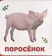 Домашние животные - фото 5