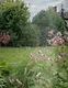 Сады и парки - фото 4