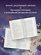 Благословения и проклятия Чуждого Края. Том 1 - фото 7