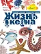 Жизнь океана - фото 1