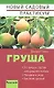 Груша - фото 1