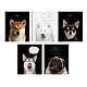 Тетрадь общая «Selfie dog» в ассортименте, 48 листов в клетку, A5 - Listoff - фото 1