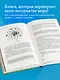 Есть ли реальность за вашей спиной? О квантовой физике простым языком - фото 5