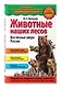 Животные наших лесов. Все лесные звери России - фото 3